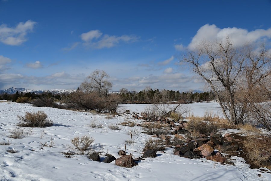 feather snow road location