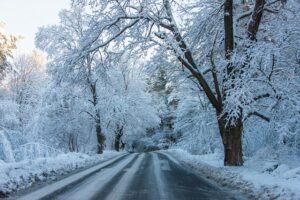 a road with snow covered trees